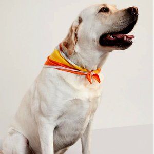 Triangle Patterned Bandana for Pets:  Various Sizes